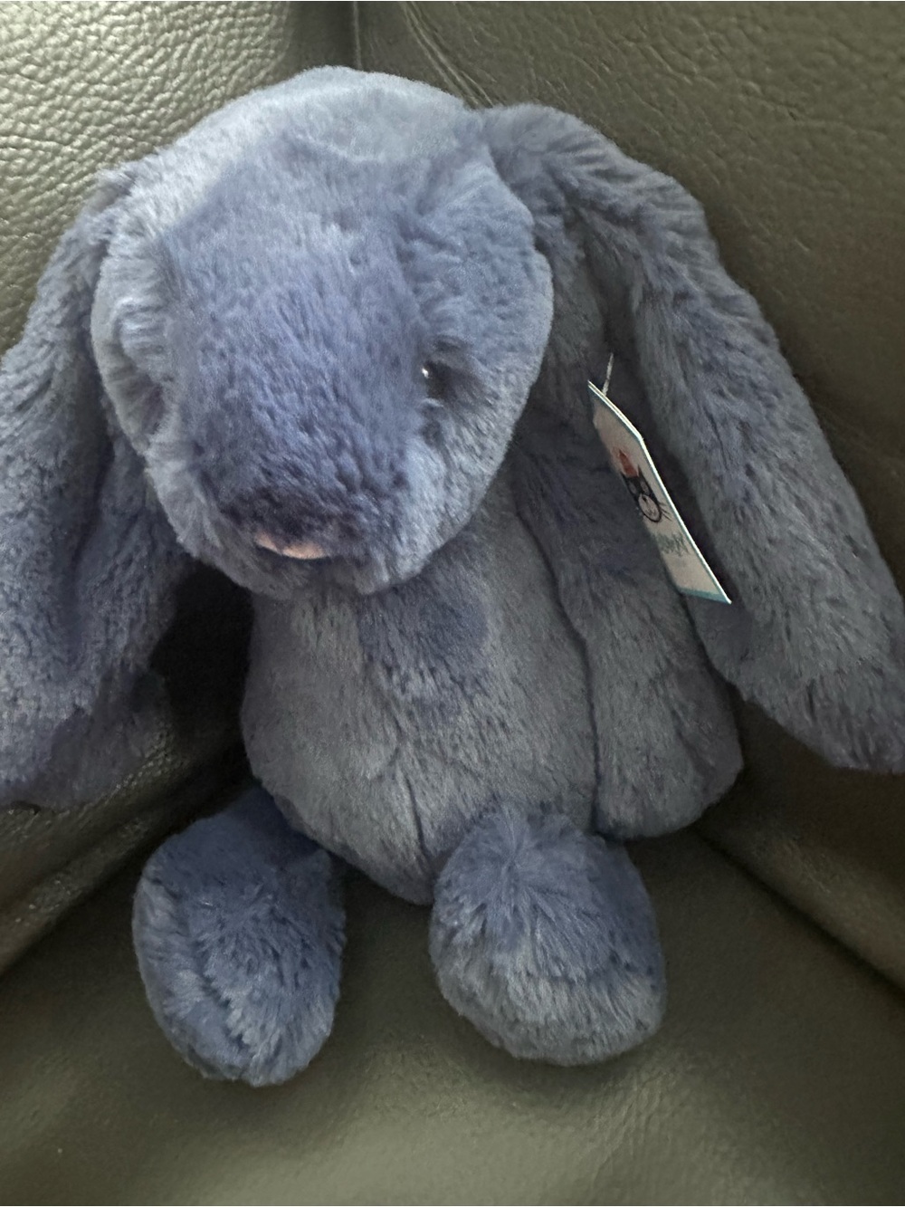 JELLYCAT New With Tags 2018/2019 Navy Blue Bashful Bunny